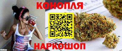 крисы Краснодар