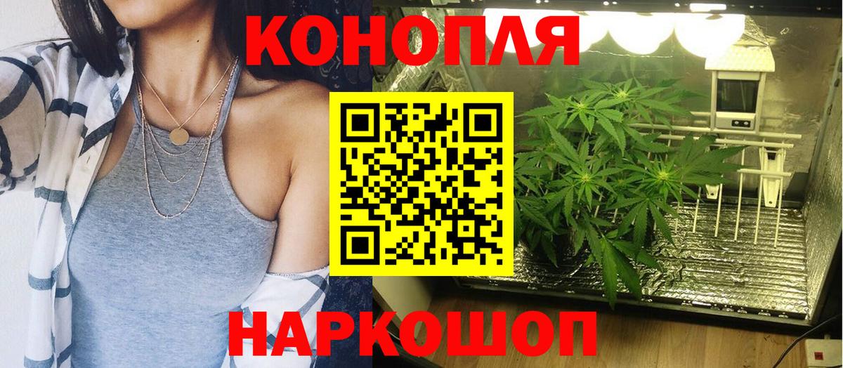 Кострома  Бошки Шишки семена  МАРИХУАНА OG Kush  Бошки марихуана индика  Вход с VPN 